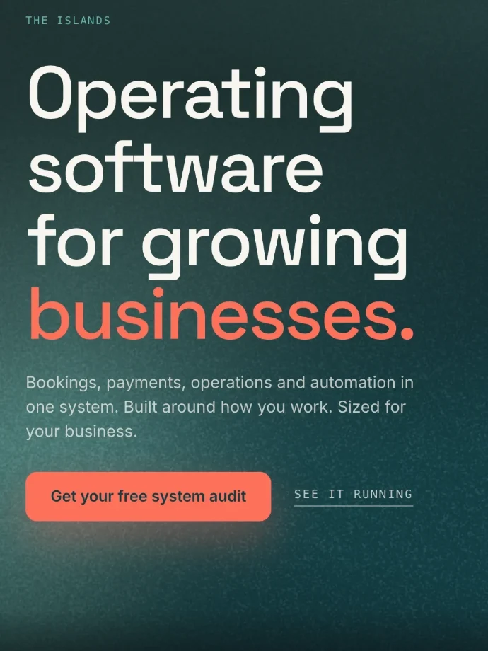 Salty Code Studio homepage headline: operating software for growing businesses